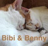 Bibi & Benny