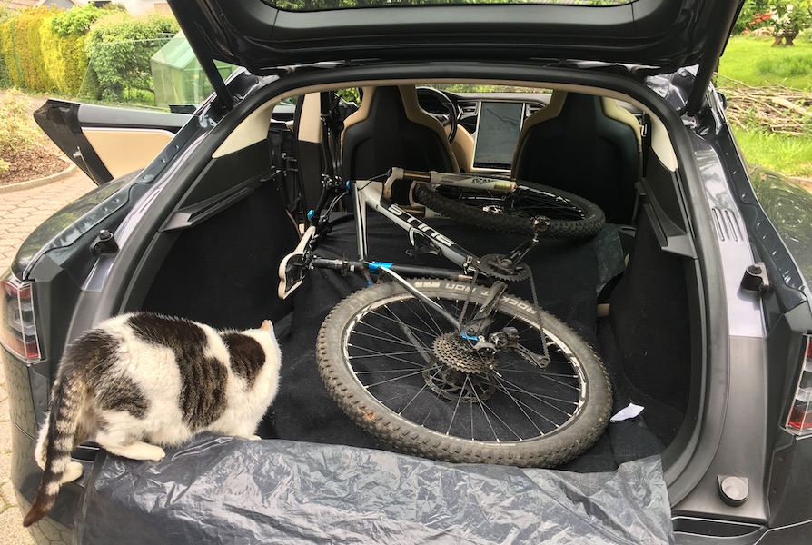 Mountainbike with cat